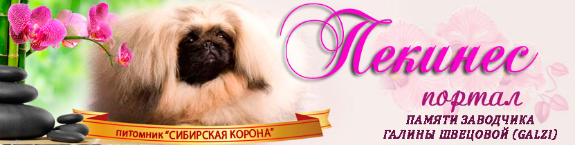http://puppy-mini.narod.ru/portal/galzi.jpg
